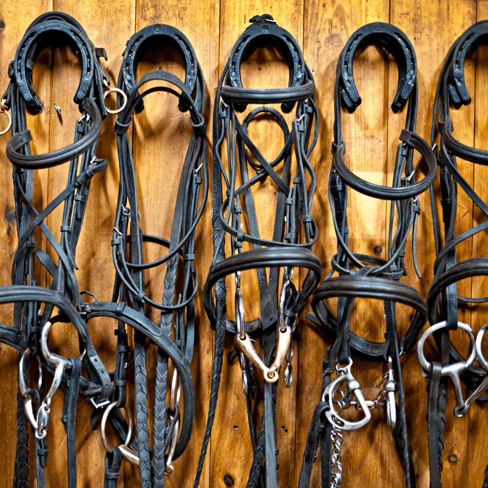 Берейторы получают точные задания: