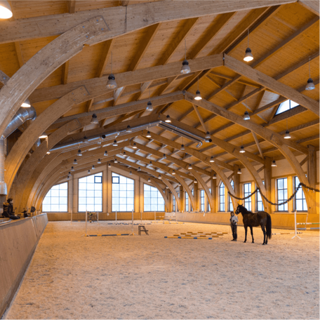 Больше не теряйте записи уроков — всё сохраняется автоматически